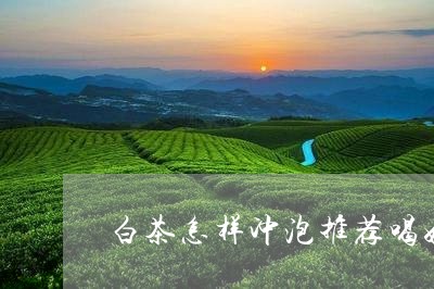 白茶怎样冲泡推荐喝好一点/2023041084837