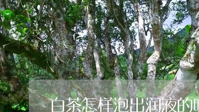 白茶怎样泡出润液的味道/2023041425168