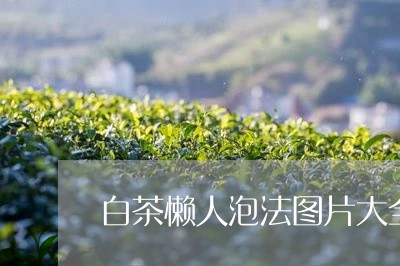 白茶懒人泡法图片大全视频/2023041064926