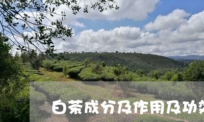 白茶成分及作用及功效图片/2023041072835