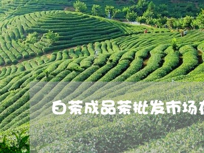 白茶成品茶批发市场在哪里/2023041045148