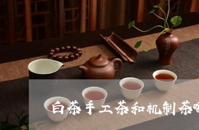 白茶手工茶和机制茶哪个好/2023041173070