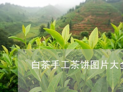 白茶手工茶饼图片大全高清/2023041141627