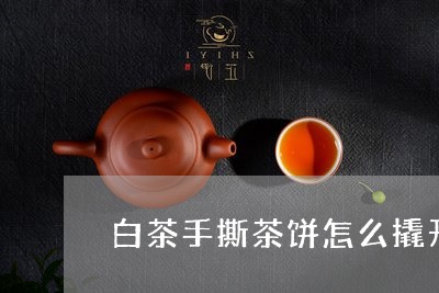 白茶手撕茶饼怎么撬开盖子/2023041115151