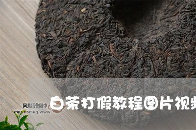 白茶打假教程图片视频大全/2023041137169