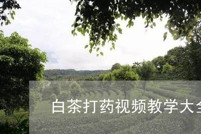 白茶打药视频教学大全全集/2023041135029