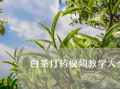 白茶打药视频教学大全图片/2023041140383