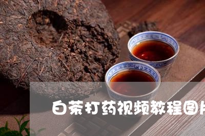 白茶打药视频教程图片全集/2023041178513