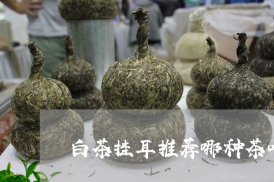 白茶挂耳推荐哪种茶叶好喝/2023041112704