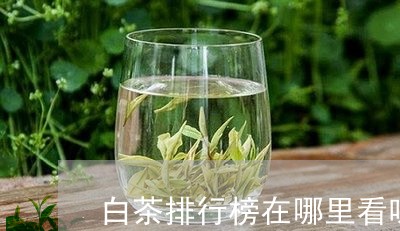 白茶排行榜在哪里看呀最新/2023041405027