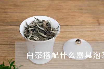 白茶搭配什么器具泡茶最好/2023041196147