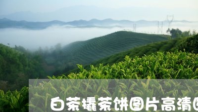 白茶撬茶饼图片高清图大图/2023041151714