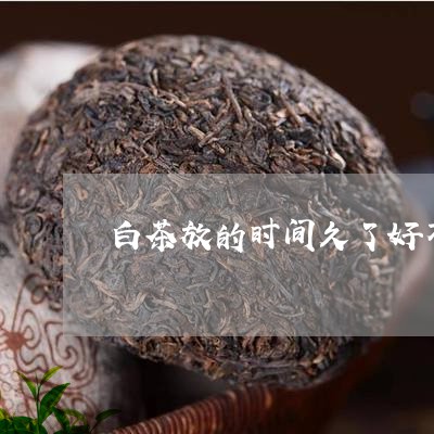 白茶放的时间久了好不好喝/2023041159260