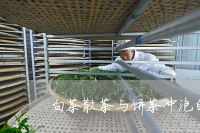 白茶散茶与饼茶冲泡的区别/2023041405068