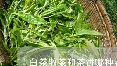 白茶散茶和茶饼哪种老化快/2023041449494