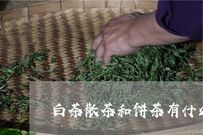 白茶散茶和饼茶有什么分别/2023041470694