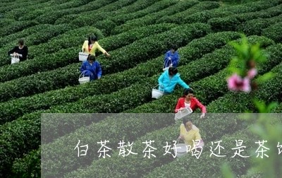 白茶散茶好喝还是茶饼好喝/2023041149493