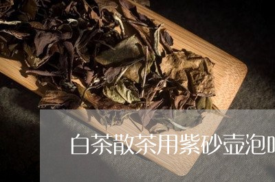 白茶散茶用紫砂壶泡吗好吗/2023041427168