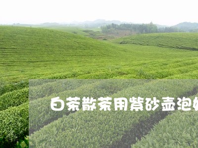 白茶散茶用紫砂壶泡好不好/2023041443627