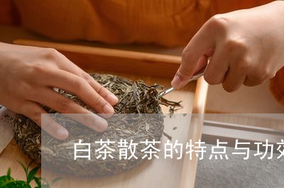 白茶散茶的特点与功效图片/2023041407050