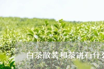 白茶散装和茶饼有什么区别/2023041227483