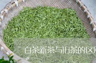 白茶新茶与旧茶的区别在哪/2023041288260