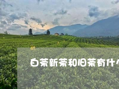 白茶新茶和旧茶有什么区别/2023041275046