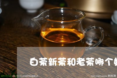 白茶新茶和老茶哪个奶香重/2023041215149