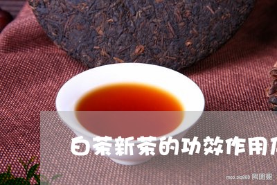 白茶新茶的功效作用及禁忌/2023041209839