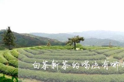 白茶新茶的喝法有哪些功效/2023041279404