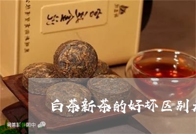 白茶新茶的好坏区别是什么/2023041582825