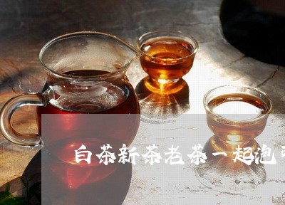 白茶新茶老茶一起泡可以吗/2023041262747