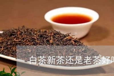 白茶新茶还是老茶好喝一点/2023041248271