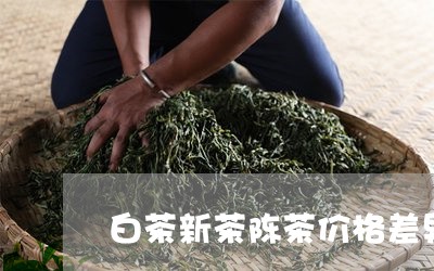 白茶新茶陈茶价格差异分析/2023041250492