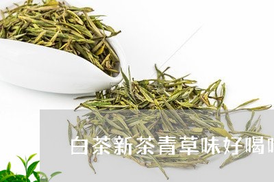 白茶新茶青草味好喝吗百度/2023041237488