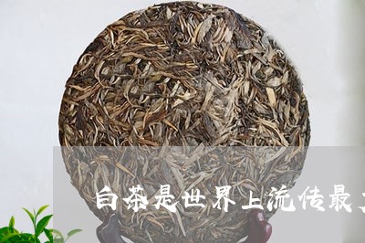 白茶是世界上流传最广的茶/2023041216148