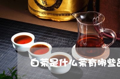 白茶是什么茶有哪些品种的/2023041536241