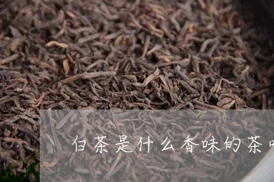 白茶是什么香味的茶叶品种/2023041230493