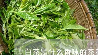 白茶是什么香味的茶花图片/2023041289282