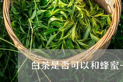 白茶是否可以和蜂蜜一起喝/2023041219371