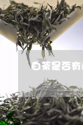 白茶是否有瘦身效果呢图片/2023041182836