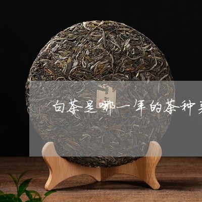 白茶是哪一年的茶种类最多/2023041130502