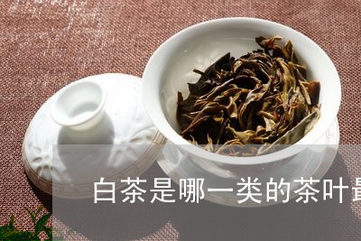 白茶是哪一类的茶叶最好呢/2023041508481