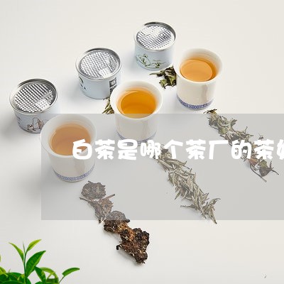 白茶是哪个茶厂的茶好一点/2023041138593