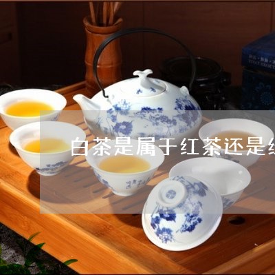 白茶是属于红茶还是绿茶呢/2023041228583