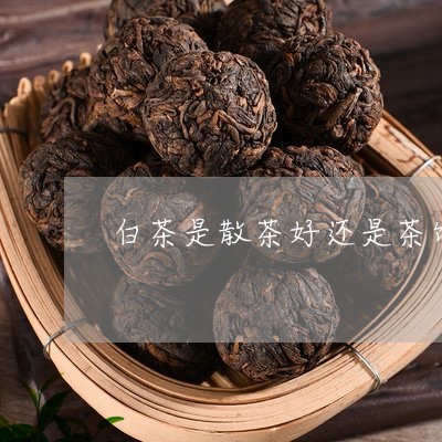 白茶是散茶好还是茶饼好呢/2023041208582