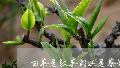 白茶是散茶好还是茶饼的好/2023041262936