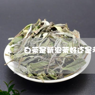 白茶是新泡茶好还是老茶好/2023041515159