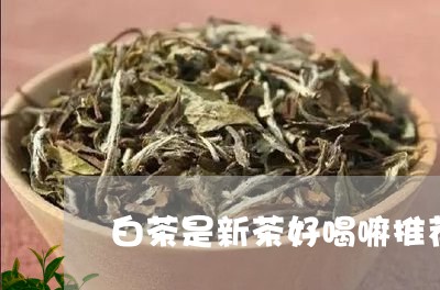 白茶是新茶好喝嘛推荐/2023041294749