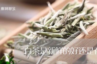 白茶是新鲜的好还是存茶好/2023041272716